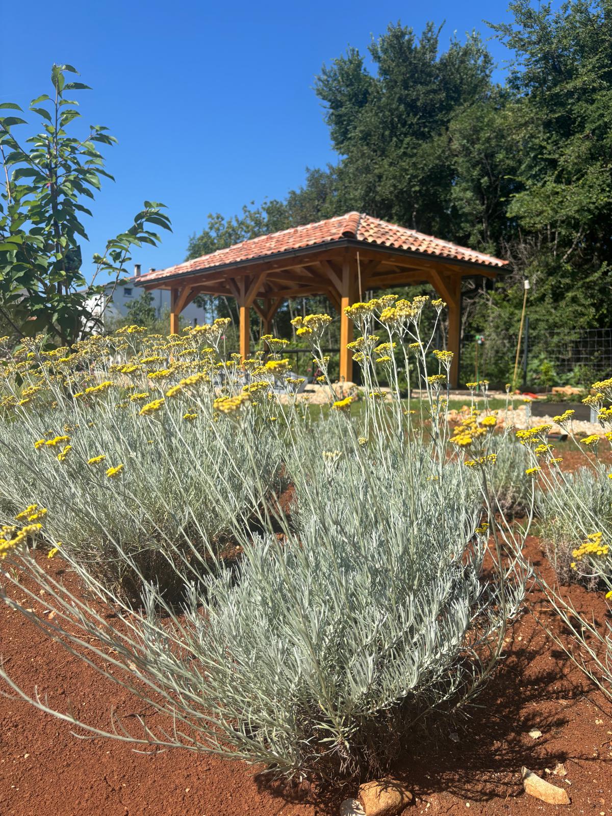 Olea Terra - Vrt sa sjenicom