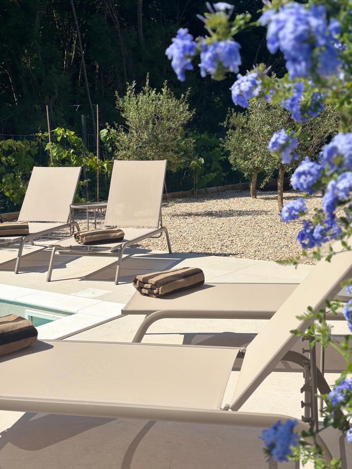 Olea Terra - Bazen s ležaljkama